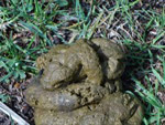 Sample of my findings